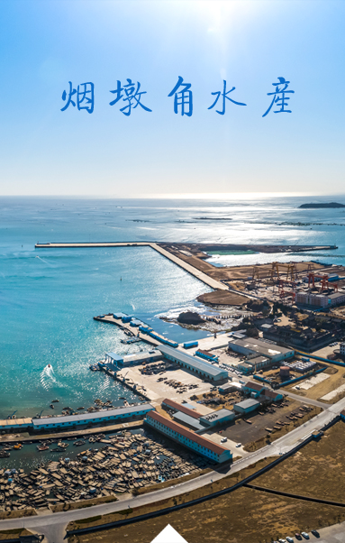 荣成烟墩角水产有限公司 荣成烟墩角水产有限公司