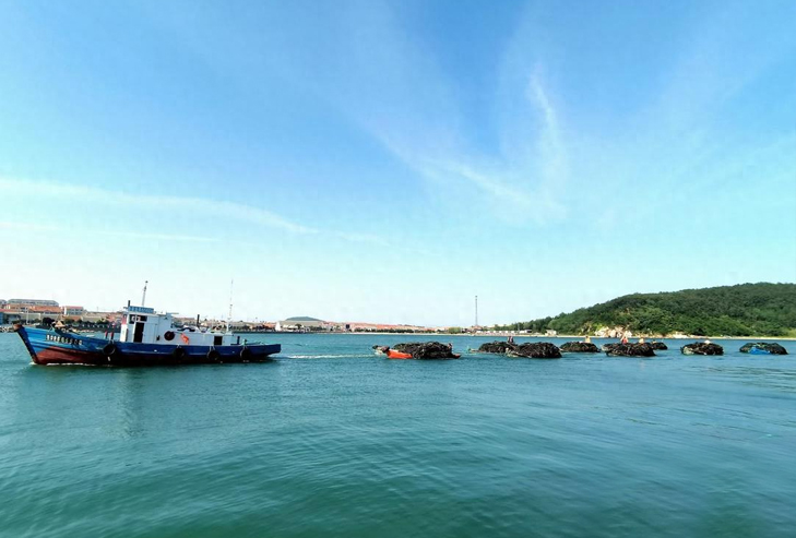 烟墩角鲍鱼北上避暑，海带房东喜收房费餐费